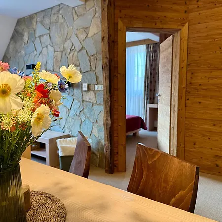 Vysoke Tatry 309 - - Vyhlad Na Tatry * Tatrzańska Łomnica