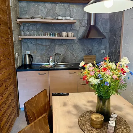 Apartment Vysoke Tatry 309 - - Vyhlad Na Tatry *
